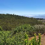 Esther * Las Palmas / Gran Canaria